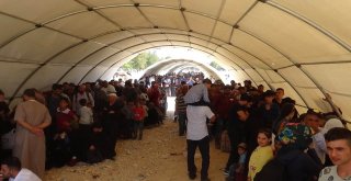 Suriyelilerin Ülkelerine Gidişleri Tamamlandı