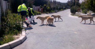​Can dostlar unutulmadı