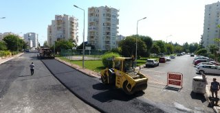 Meydankavağı, Eylül Sonuna Kadar Yenilenecek