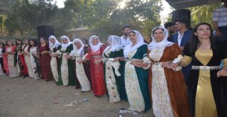 Güvenlik Kuvvetleri Şehit Ailesini Düğünlerinde Yalnız Bırakmadı