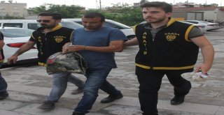 Vatandaşı Dolandırıp Çiftlik Kurdu