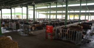 Vergi Borcu Olanlar Dikkat, Süre 31 Temmuzda Sona Eriyor