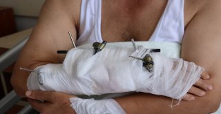 Bayrak Uğruna Ayılarla Boğuştu