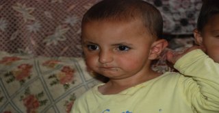 Evrimi En Son Gören 1,5 Yaşındaki Kardeşi Sati, Yengesine Emanet