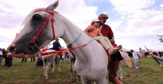 Erzurum Türk Oyunları Başladı