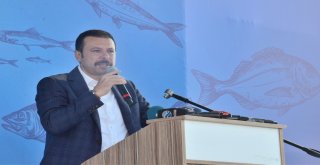 İzmirli Balıkçılar Rastgele Diyecek