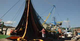 Ordulu Balıkçılar Yeni Sezona Tam Gaz Hazırlanıyor