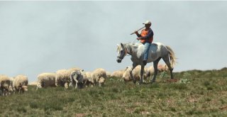 Çobanın Umudu Kurban Bayramı