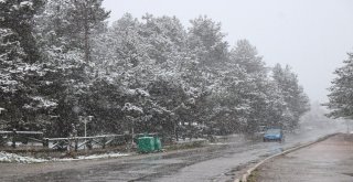Abant Tabiat Parkı Kar Yağışıyla Beyazlara Büründü