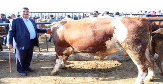 1 Tonluk Kurban Alıcısını Bekliyor