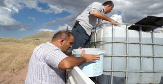 Göletlere 110 Bin Yavru Balık Bırakıldı