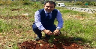 Başkan Ateş, Yaz Aylarında Meydana Gelen Orman Yangınlarına Karşı Uyardı