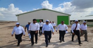 İlçelere Ekonomik Destek İçin Örnek Proje