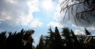 Bursada Şehitlikte Anma Töreni Düzenlendi