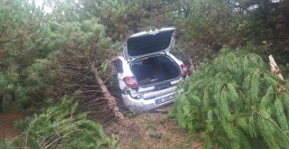 Yoldan Çıkan Otomobil Ağaçların Arasına Daldı
