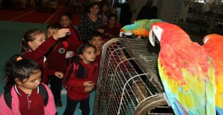 Petzoo Ankara Fuarı 2İnci Kez Kapılarını Açtı
