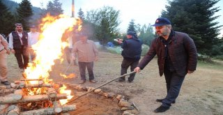 Gençlik Kampları ‘Yıla Yayılıyor