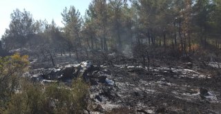 Orman Yangını Yerleşim Yerine Sıçramadan Söndürüldü