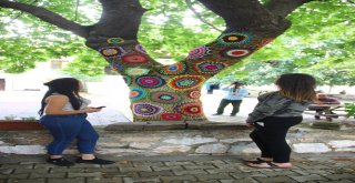 Kazdağları Yün Bombaları İle Süslendi