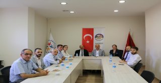 Körfez Rengarenk Oldu