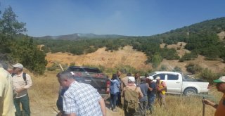 Tuncelide Sahte Fotoğraflarla Dersim Yanıyor Yalanı