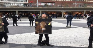 İsveçte Hayvan Hakları İçin Sessiz Protesto