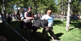 Çocukların Pony Sevinci