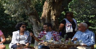 Arda Türkmen Zeytin Festivaline Konuk Oldu