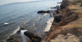 Foçadaki Fuel-Oil Sızıntının Ardından Çalışmalar 5. Günde De Sürüyor