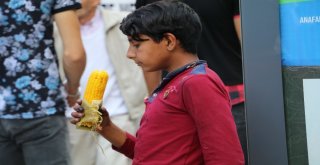 Rizede ‘1. Koliva Festivali
