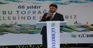 Gübretaş Model Bahçe Uygulamasında Rekor Fındık