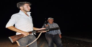 Çiftçinin Tüfekli Üzüm Nöbeti