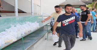 Hatayda Gadir-İ Hum Bayramı Kutlandı