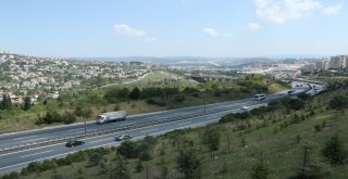 Temde Bayram Yoğunluğu Sona Erdi