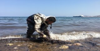 Foçada Denizdeki Akaryakıtı Temizleme Çalışmaları Devam Ediyor