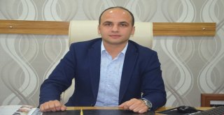 Fındık Bahçelerinde Meyve Dökümü