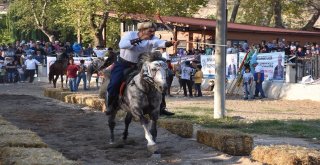 Dursunbeyliler Buluşması Pikniğine On Binler Katıldı