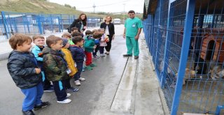 Çocuklar Hayvanları Koruma Gününde Sahipsiz Hayvanları Unutmadı