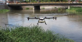 Haşerelere Karşı Biodrone İle İlaçlama