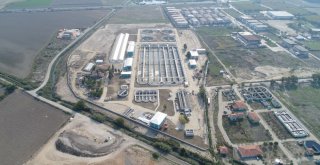 Maskiden Geleceğe Dönük Yüzlerce Proje