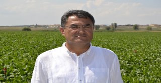 Pancar Üretimini 4 Katına Çıkardılar