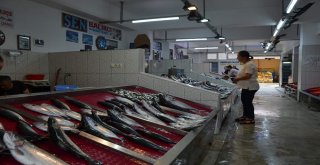 Fırtına Nedeniyle Balıkçılar Deniz Açılamayınca Palamut Fiyatını İkiye Katladı