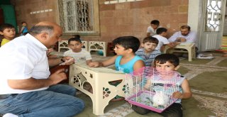 Kuran Öğrenmeye Tavşanıyla Geliyor