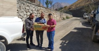 Ateşli Silahla Yaralanan Kızıl Şahin Tedavi Altına Alındı