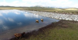 Büyükşehir Gölet Yapımında Türkiye Rekoru Kırdı