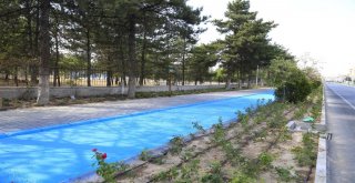 Bisiklet Yolu Ve Çevresindeki Yenileme Çalışmaları Devam Ediyor