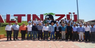 Uygur: Altınözünün Zeytin Ve Zeytinyağı Üretim Merkezi Olmasını Hedefliyoruz