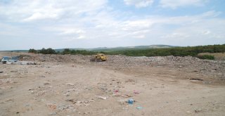 Sarosun Göbeğine Dökülen Çöpler Toplanıyor