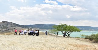 Tütüncü, Deneyimlerini Paylaştı