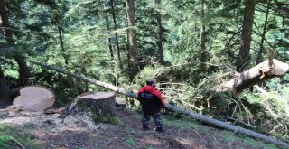 Uzungöl ‘Teleferik Projesinde İlk Adım Atıldı